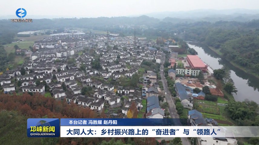 【20250110】大同人大：乡村