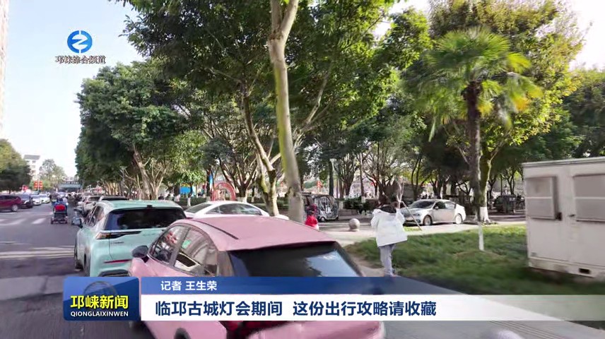 【20250127】临邛古城灯会期