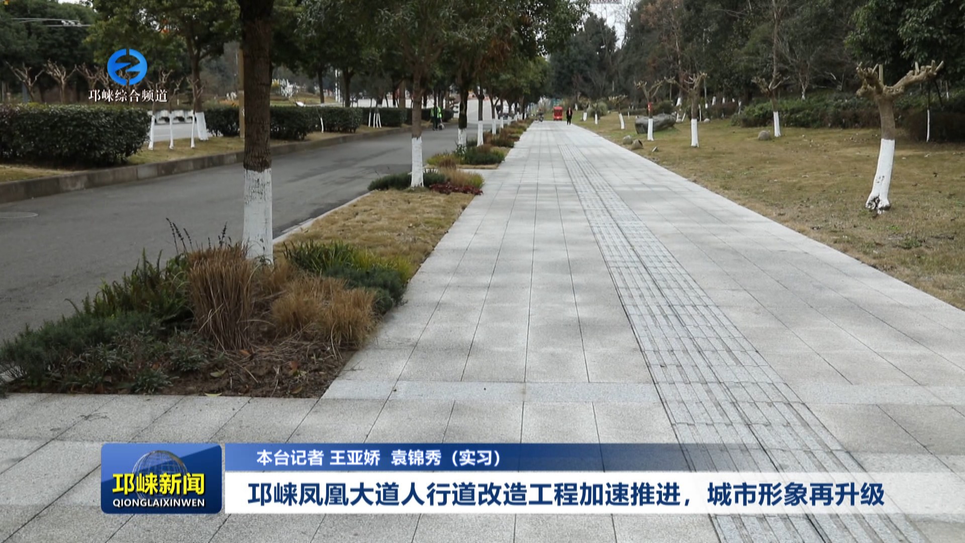 【20250207】邛崃凤凰大道人