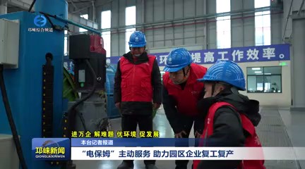 【20250217】 “电保姆”主