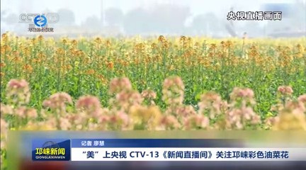 【20250303】“美”上央视