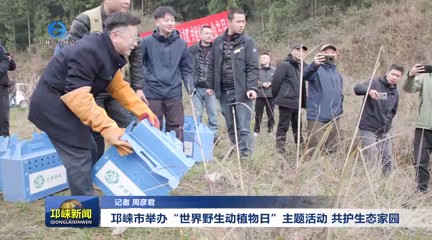 【20250303】邛崃市举办“世