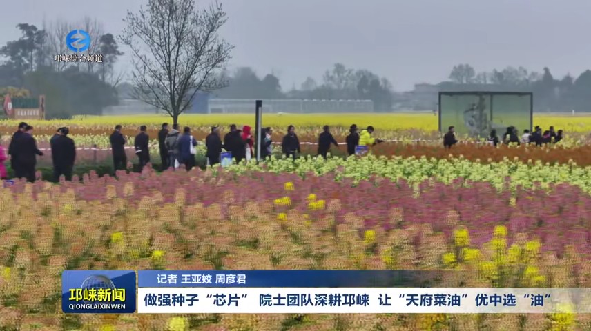 【20250319】做强种子“芯片