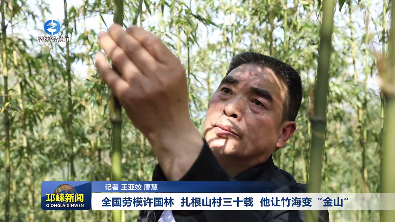【20250414】全国劳模许国林