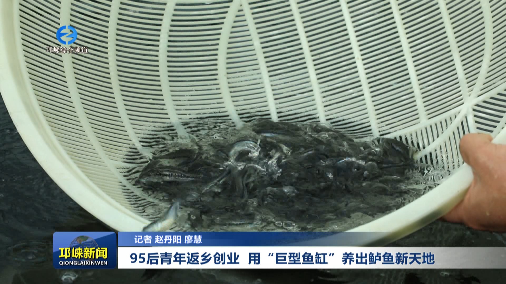 【20250415】95后青年返乡创