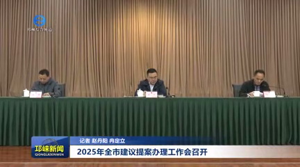 【20250416】2025年全市建议
