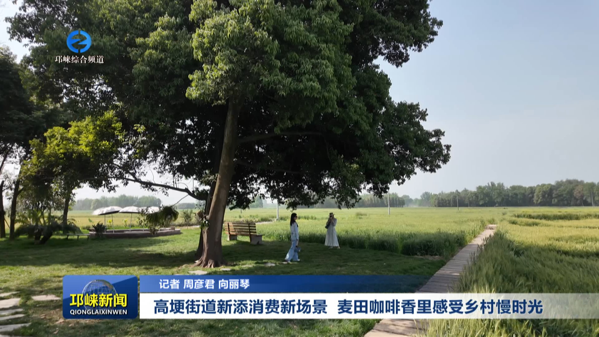 【20250417】高埂街道新添消