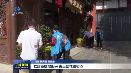【20250507】党建领航粽街兴