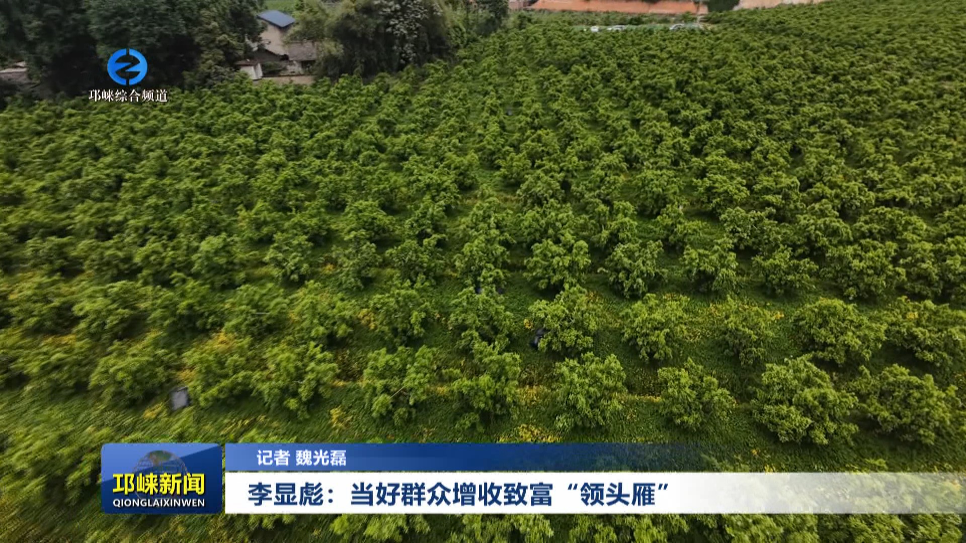 【20250515】李显彪：当好群