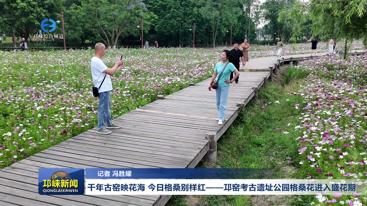【20250521】千年古窑映花海