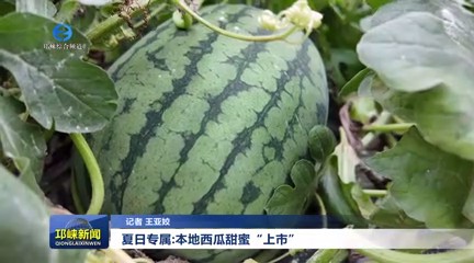 【20250605】夏日专属：本地