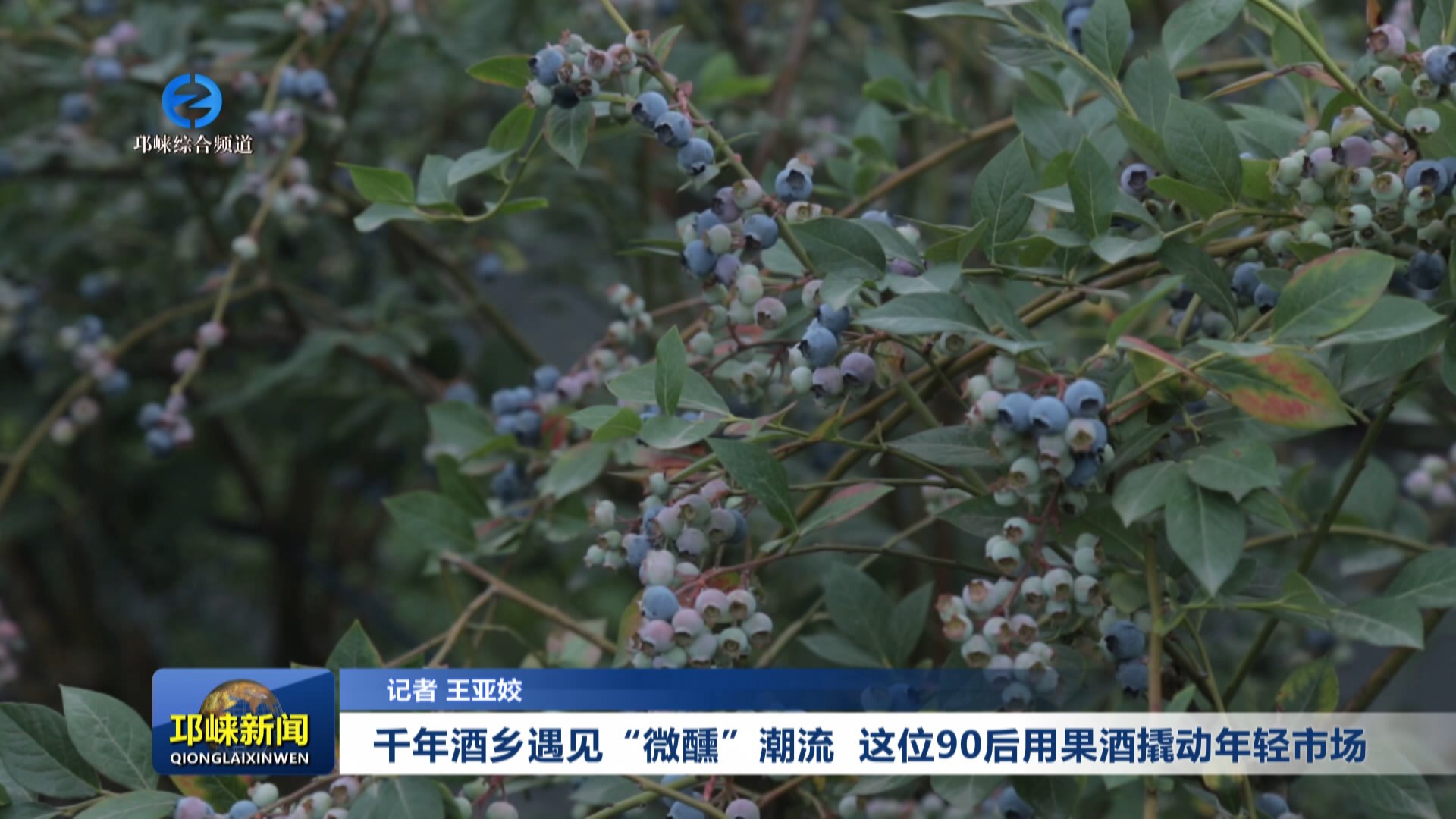 【20250609】千年酒乡遇见“
