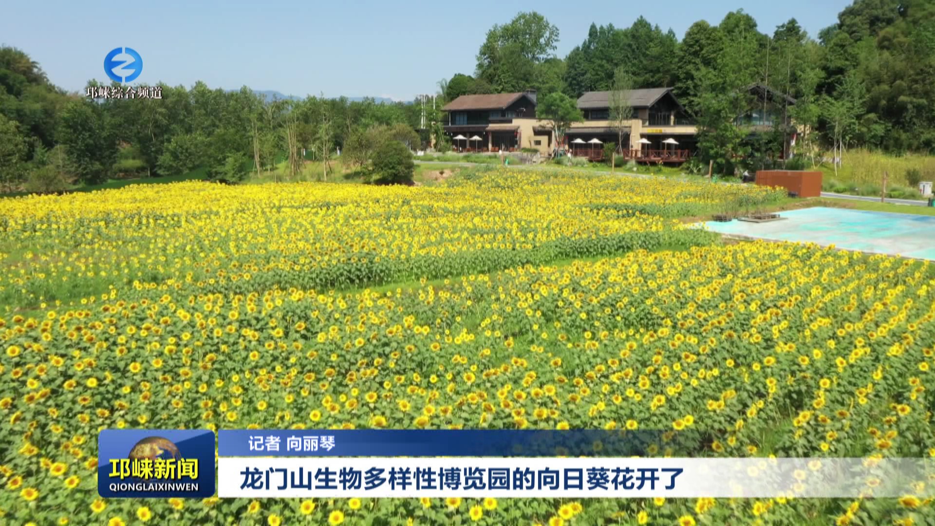 【202506011】龙门山生物多