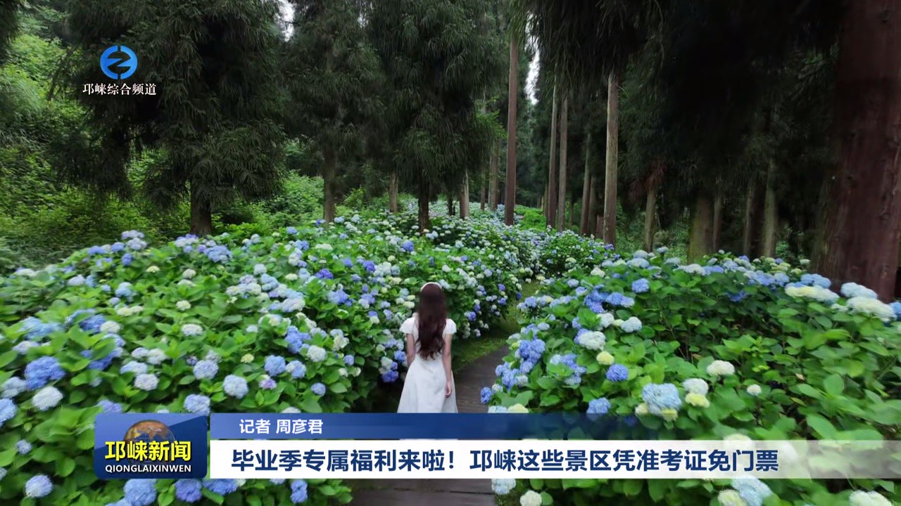 【20250612】毕业季专属福利