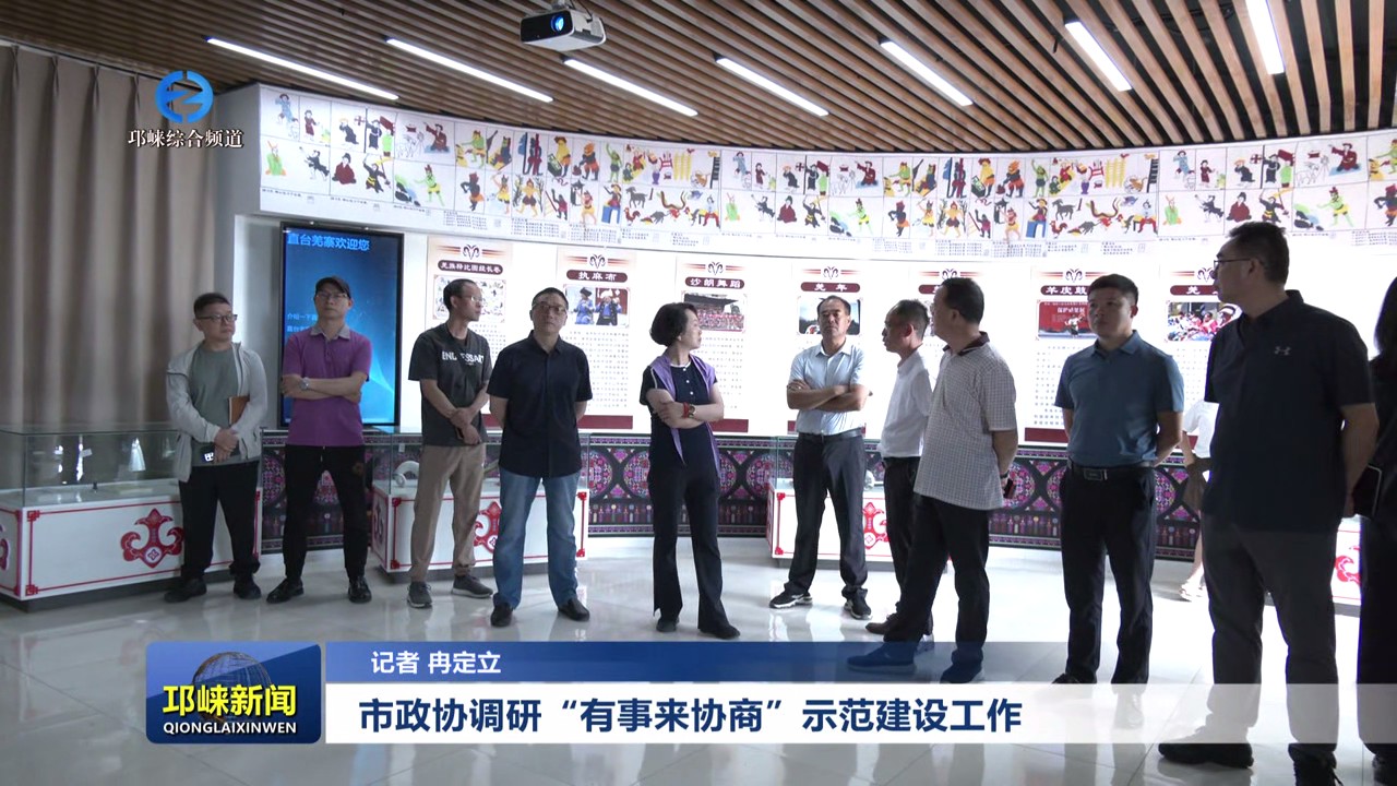 【20250612】市政协调研“有