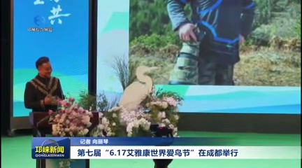 【20250618】第七届“6.17艾