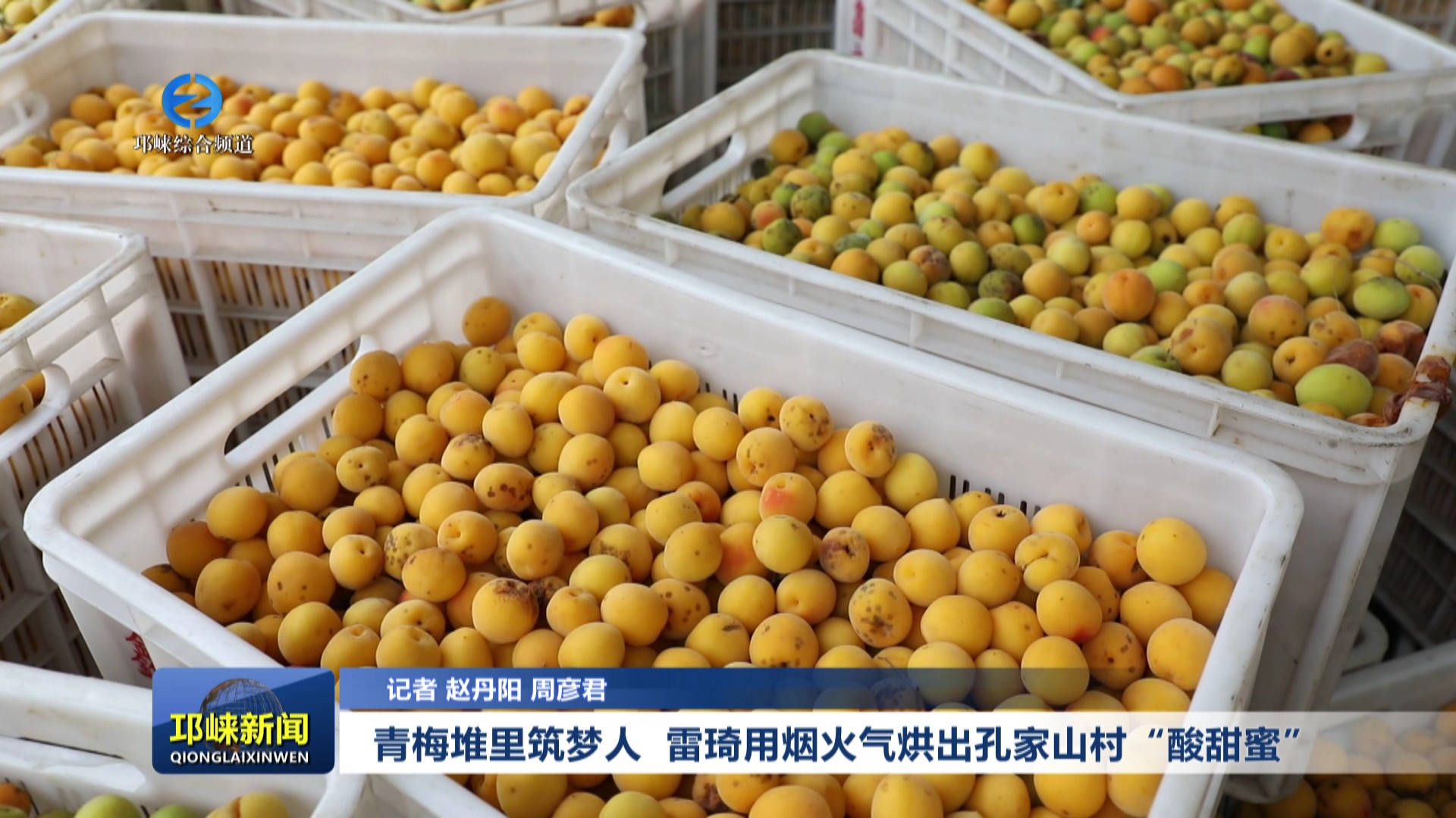 【20250623】青梅堆里筑梦人