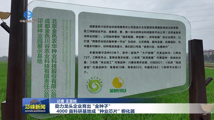 【20250625】助力龙头企业育