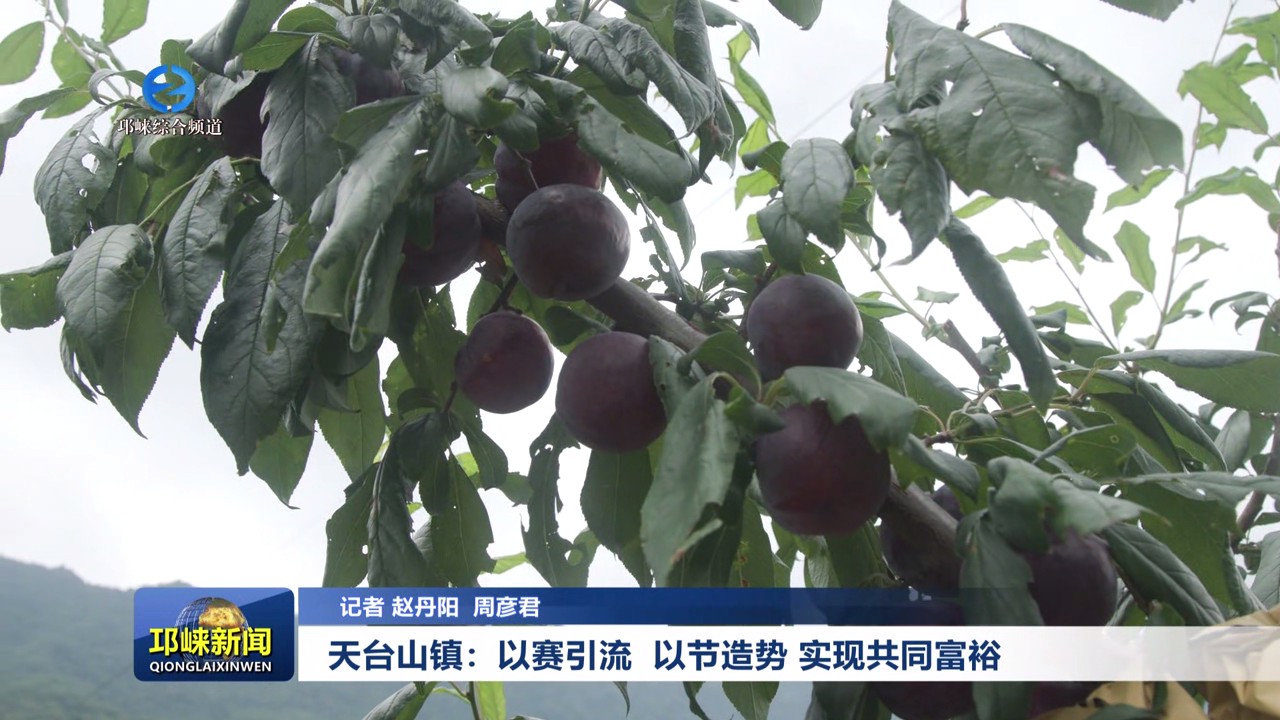 【20250708】天台山镇：以赛