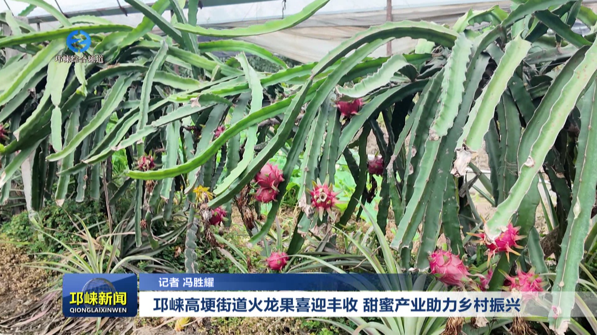 【20250723】邛崃高埂街道火