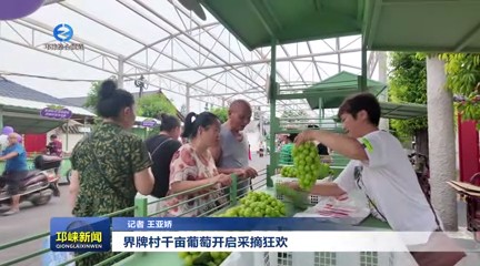 【20250804】界牌村千亩葡萄