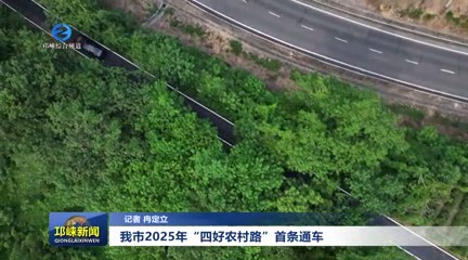 【20250804】我市2025年“四