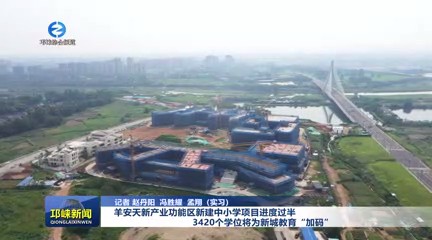 【20250805】羊安天新产业功