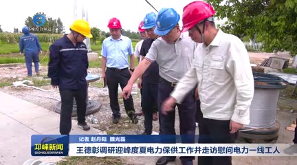 【20250805】王德彰调研迎峰