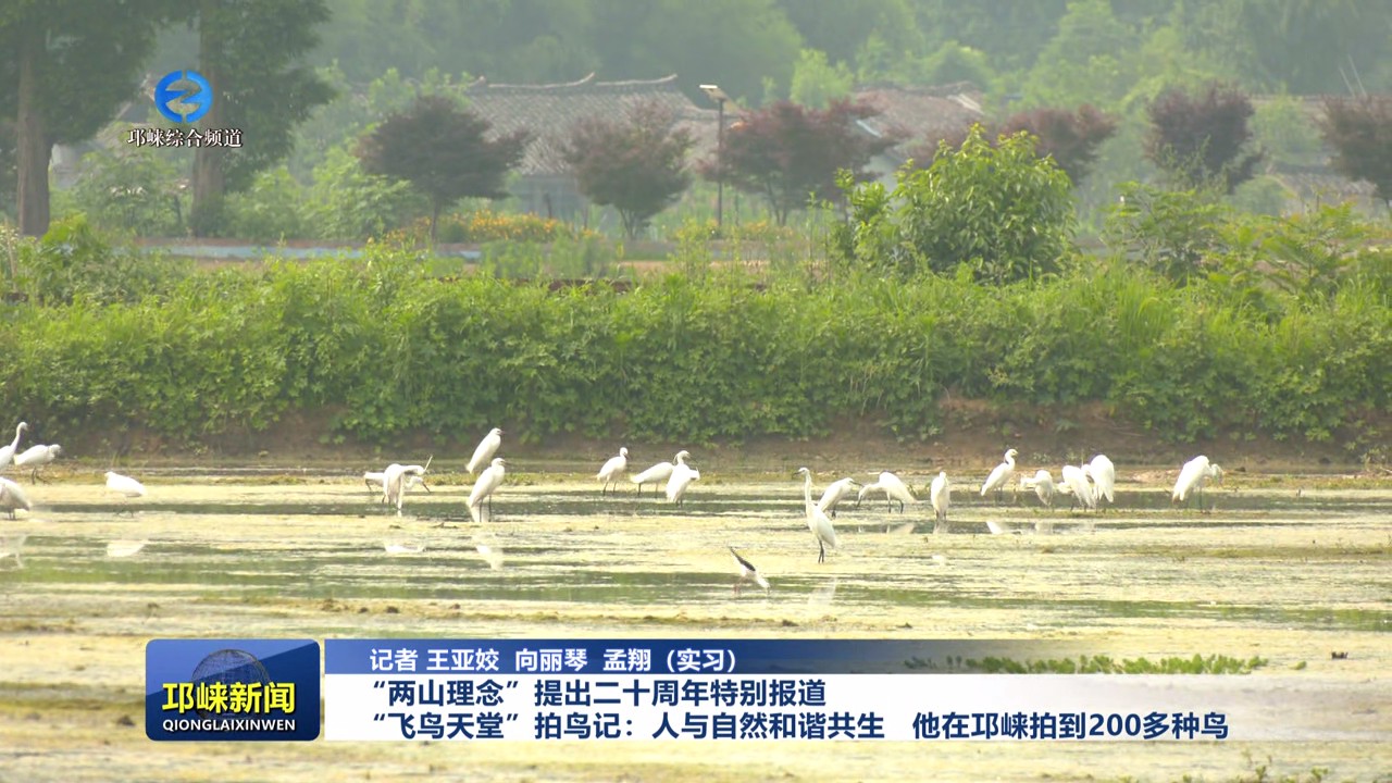 【20250814】“两山理念”提
