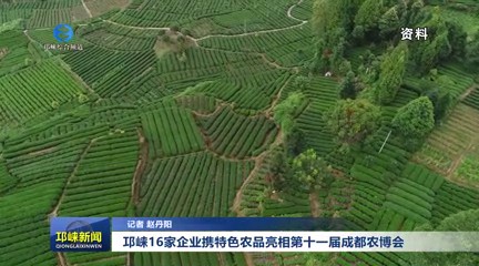 【20250829】邛崃16家企业携